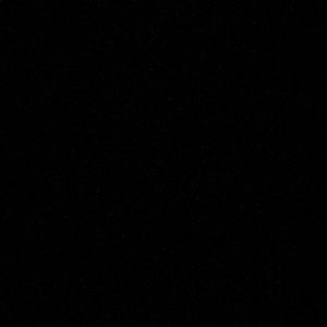 Meet your Posher, Carly